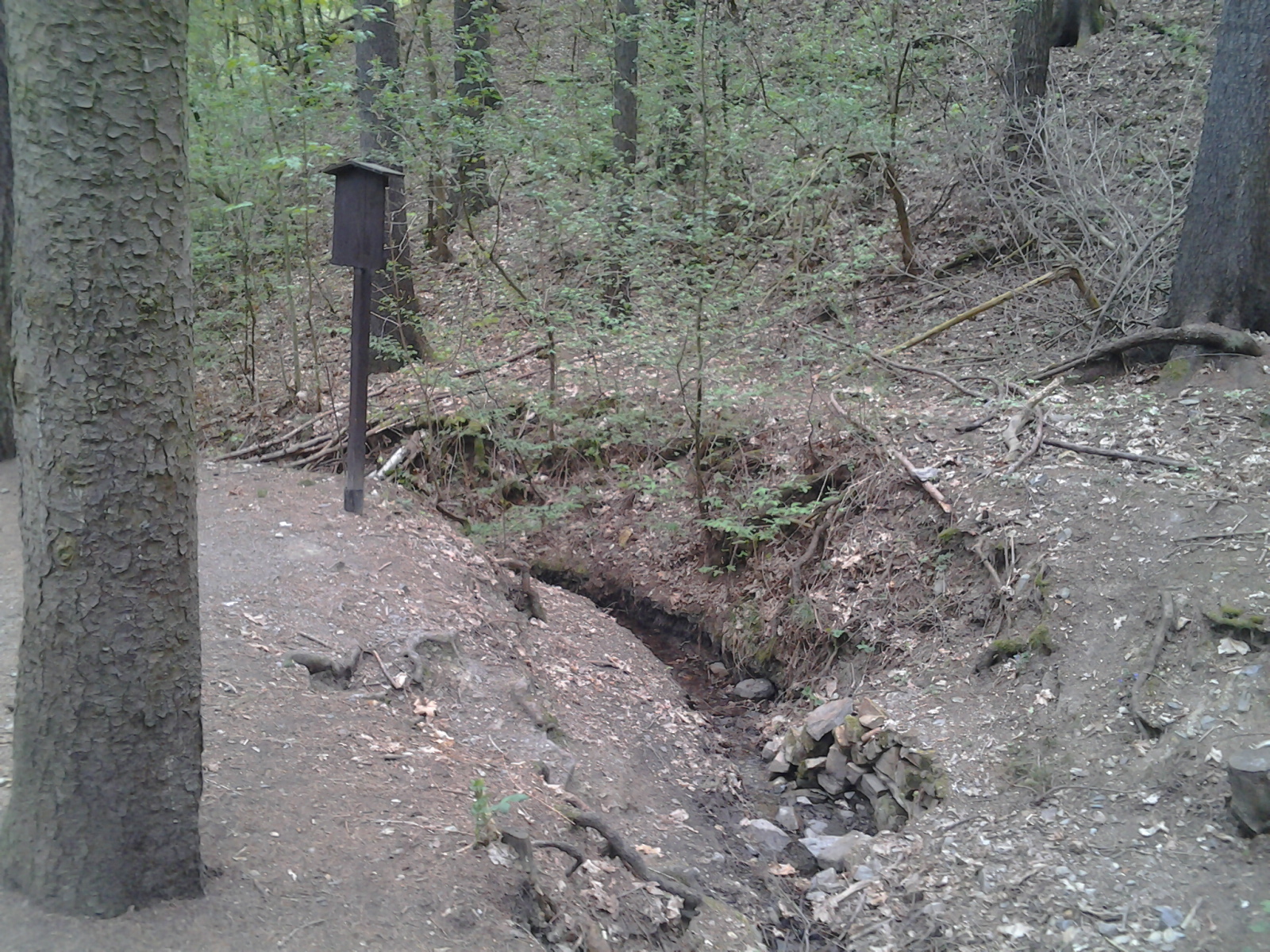 Pražské studánky, Urešova studánka, ilustrační foto