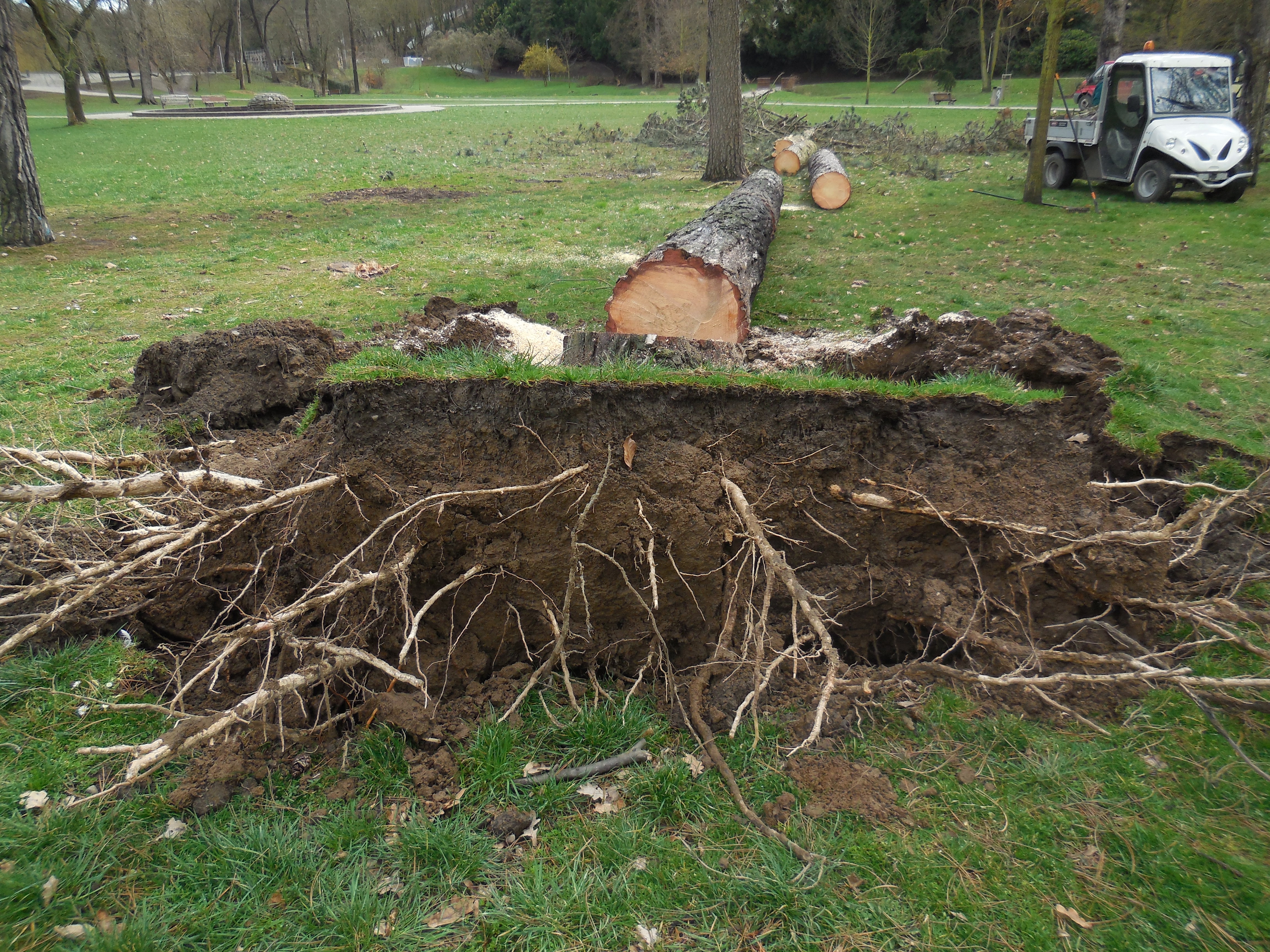 Následky vichřice a poryvů silného větru ve Stromovce 30.3.-2.4.2015