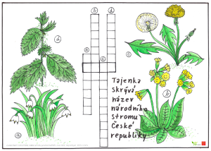 EVVO infomateriály pro děti - křížovky - Květiny (pdf)