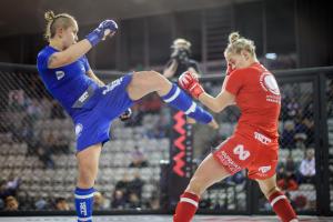 MMA_2016_Kozak_40