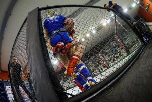 MMA_2016_Kozak_62