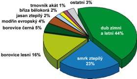 Les Hlásek, stávající procentuální zastoupení dřevin