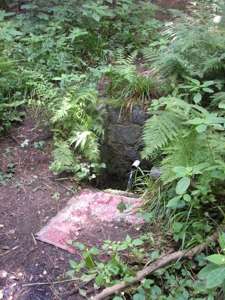 Pražské studánky - Horní Štěpánka - fotogalerie