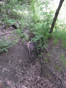 Pražské studánky - Pekařka (ilustrační foto, 2012)